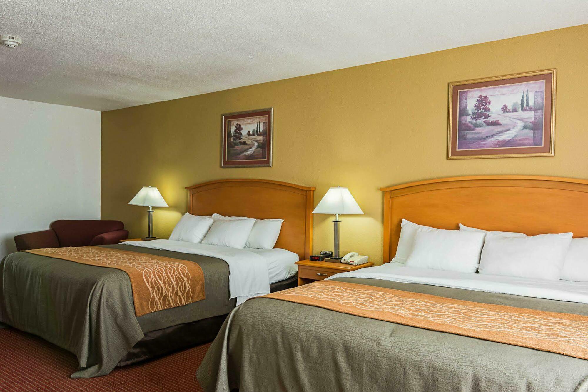 Comfort Inn & Suites Chesapeake - Portsmouth Екстер'єр фото